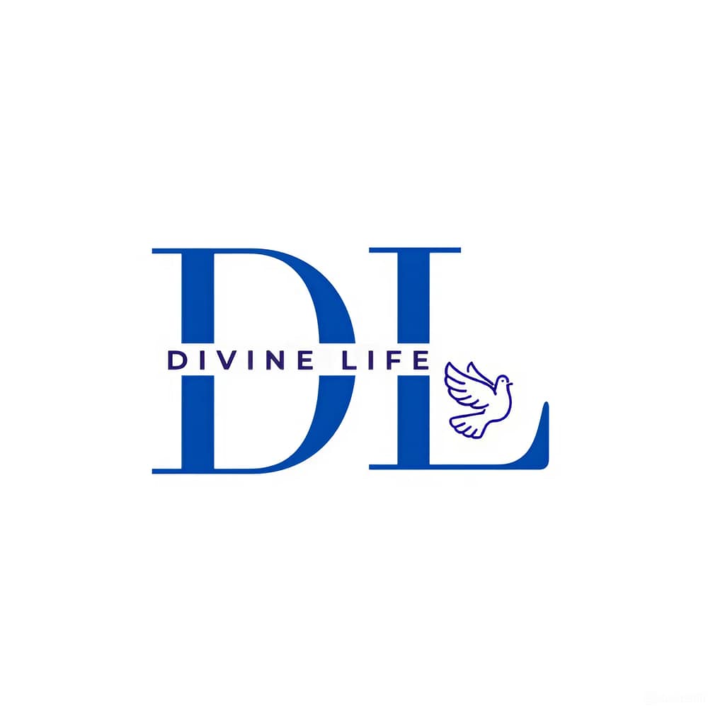 snapedit_1724130850948